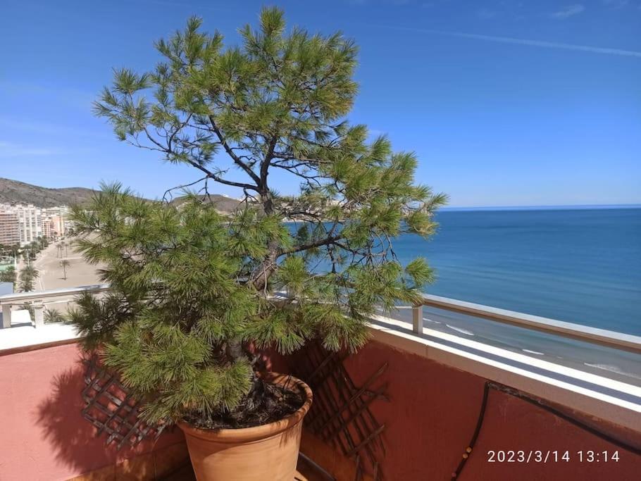Ferienwohnung Espectacular Terraza Y Vistas En 1A Linea De Playa Cullera Exterior foto